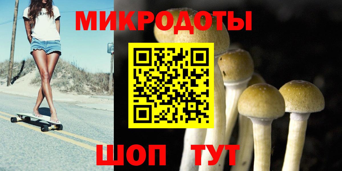 Донецк  купить закладку  Вход с VPN  Псилоцибиновые грибы прущие грибы 